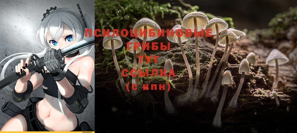 MESCALINE Новозыбков